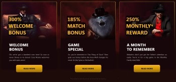 DomGame Casino Bonuses and Promotions